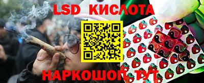гидропоника Бузулук