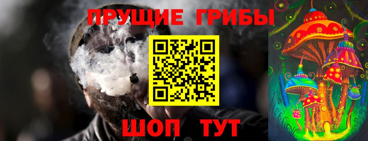 Псилоцибиновые грибы Psilocybine cubensis Миасс