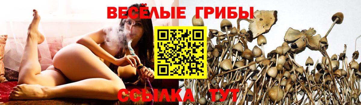 Миасс  Галлюциногенные грибы Psilocybe  Галлюциногенные грибы ЛСД  Вход с VPN 